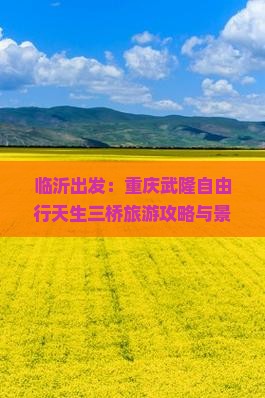 临沂出发：重庆武隆自由行天生三桥旅游攻略与景点详细信息