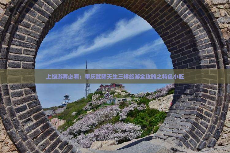 上饶游客必看：重庆武隆天生三桥旅游全攻略之特色小吃