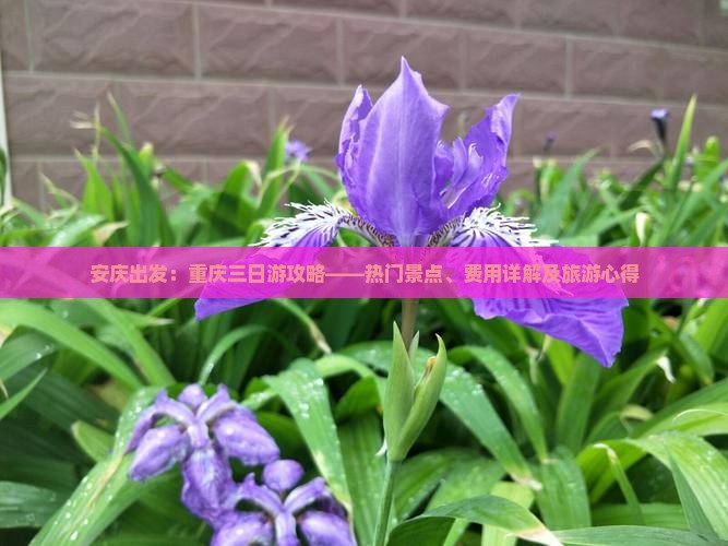 安庆出发：重庆三日游攻略——热门景点、费用详解及旅游心得