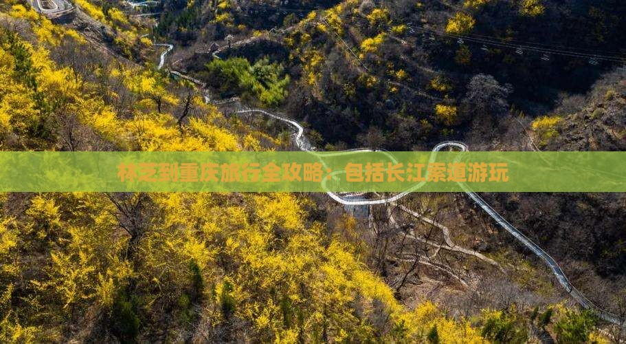 林芝到重庆旅行全攻略：包括长江索道游玩