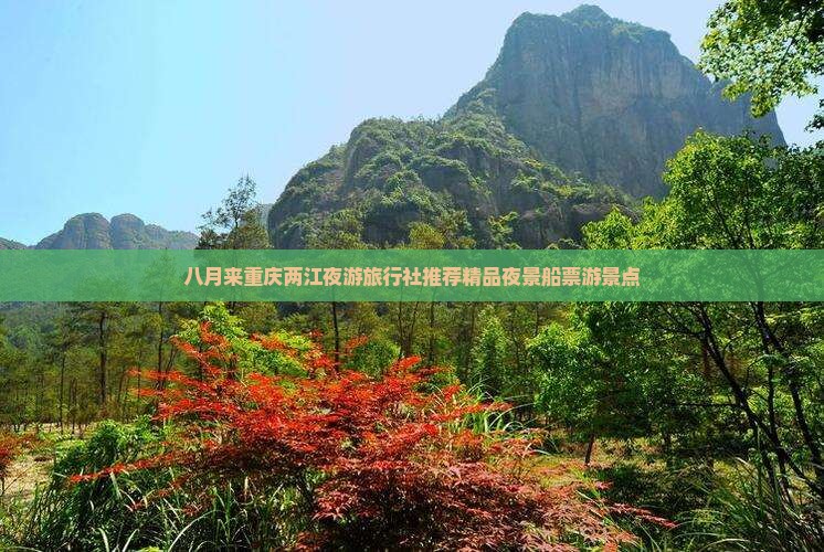 八月来重庆两江夜游旅行社推荐精品夜景船票游景点