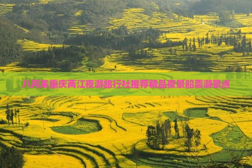八月来重庆两江夜游旅行社推荐精品夜景船票游景点