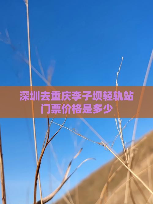 深圳去重庆李子坝轻轨站门票价格是多少