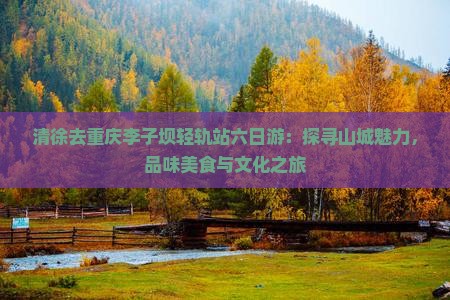 清徐去重庆李子坝轻轨站六日游：探寻山城魅力，品味美食与文化之旅