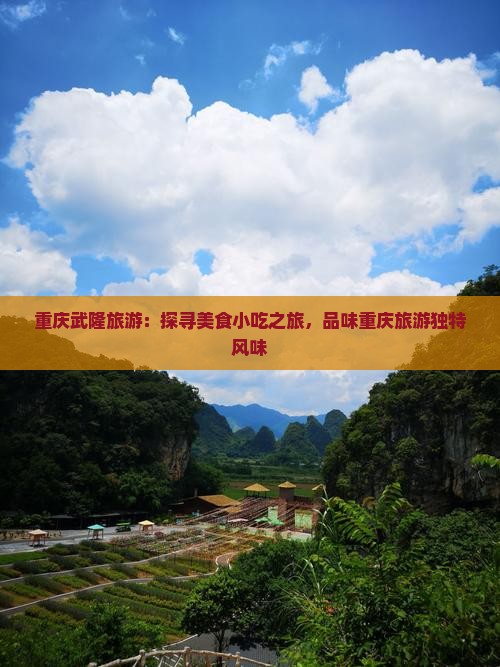 重庆武隆旅游：探寻美食小吃之旅，品味重庆旅游独特风味