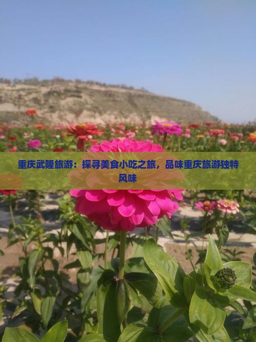 重庆武隆旅游：探寻美食小吃之旅，品味重庆旅游独特风味