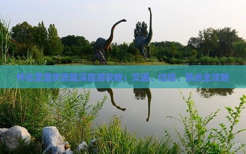 怀化至重庆武隆深度游攻略：交通、住宿、景点全攻略