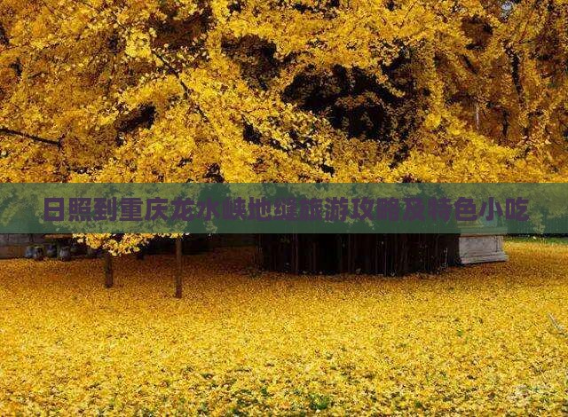 日照到重庆龙水峡地缝旅游攻略及特色小吃