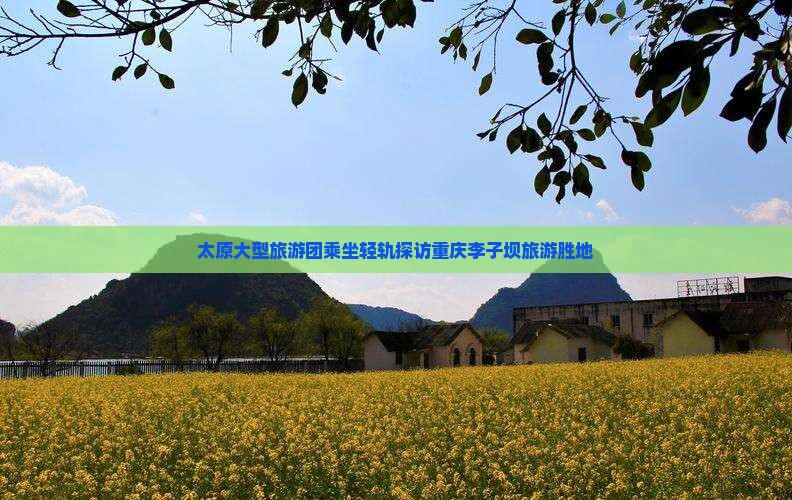 太原大型旅游团乘坐轻轨探访重庆李子坝旅游胜地