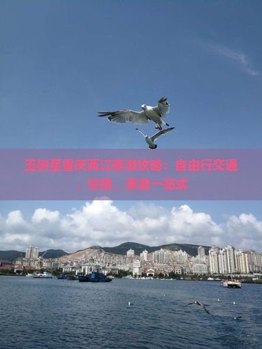 玉树至重庆两江夜游攻略：自由行交通、住宿、美食一站式