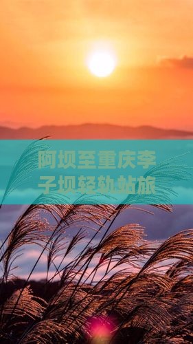 阿坝至重庆李子坝轻轨站旅游攻略及交通
