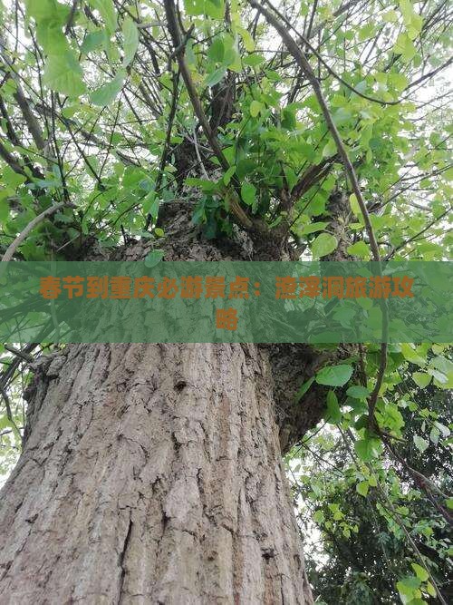 春节到重庆必游景点：渣滓洞旅游攻略