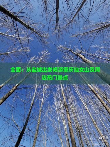 全面：从盐城出发畅游重庆仙女山及周边热门景点
