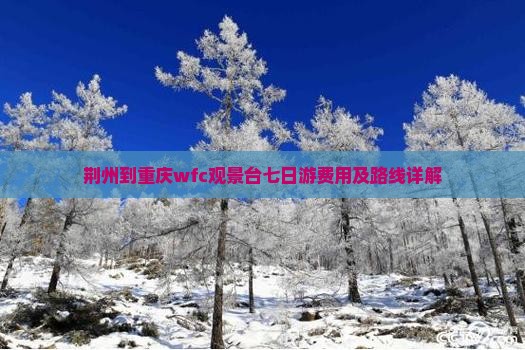 荆州到重庆wfc观景台七日游费用及路线详解