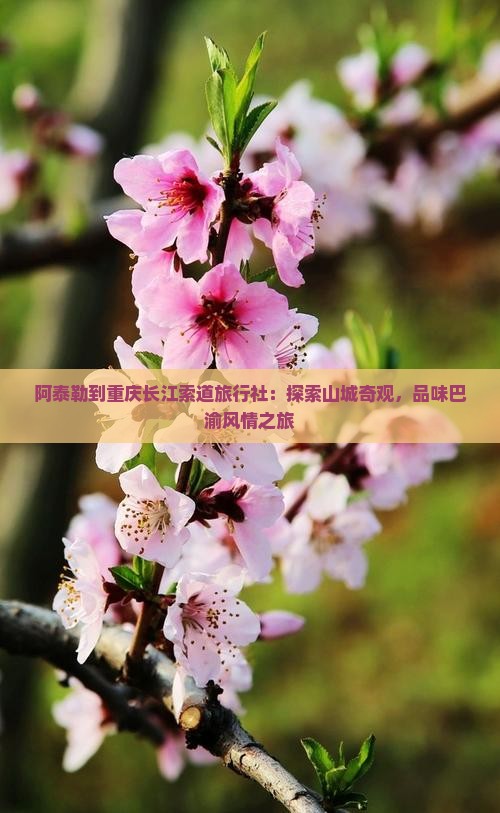 阿泰勒到重庆长江索道旅行社：探索山城奇观，品味巴渝风情之旅
