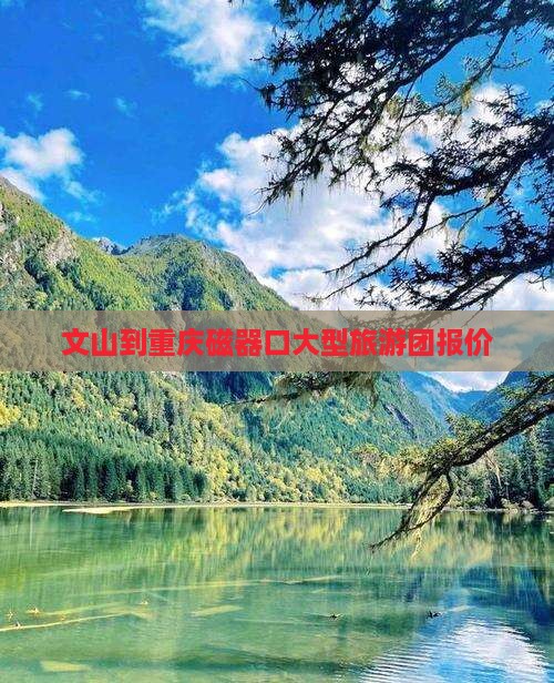 文山到重庆磁器口大型旅游团报价