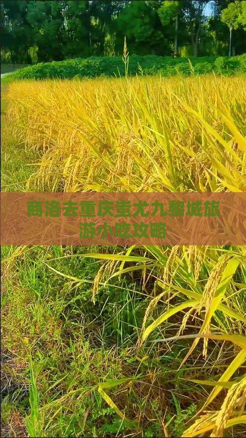 商洛去重庆蚩尤九黎城旅游小吃攻略