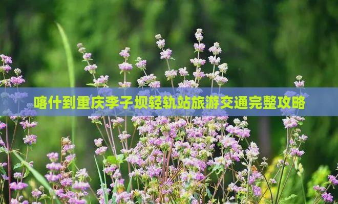喀什到重庆李子坝轻轨站旅游交通完整攻略