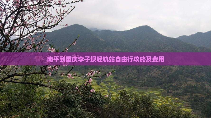 南平到重庆李子坝轻轨站自由行攻略及费用
