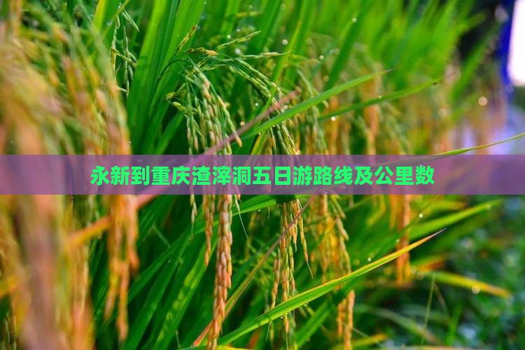 永新到重庆渣滓洞五日游路线及公里数
