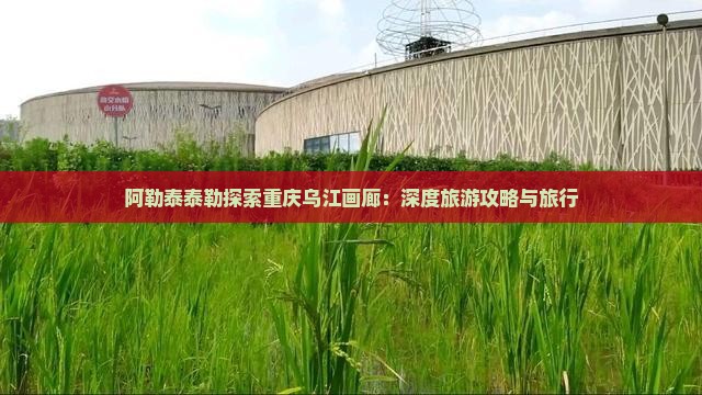 阿勒泰泰勒探索重庆乌江画廊：深度旅游攻略与旅行