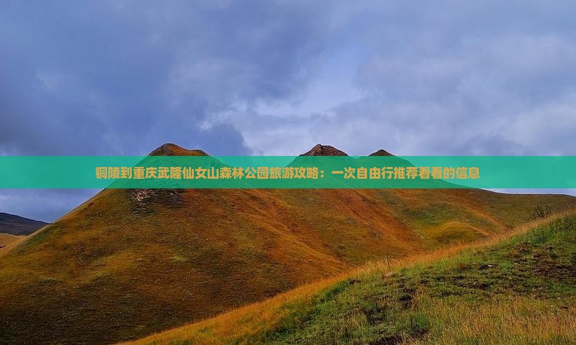 铜陵到重庆武隆仙女山森林公园旅游攻略：一次自由行推荐看看的信息