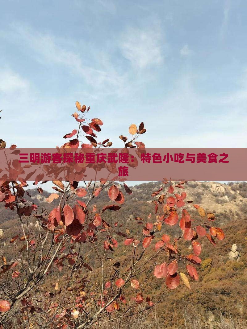 三明游客探秘重庆武隆：特色小吃与美食之旅