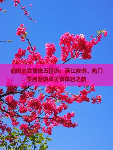 鹤岗出发重庆五日游：两江夜游、热门景点畅游及美食体验之旅