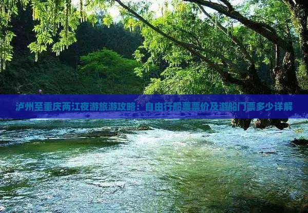 泸州至重庆两江夜游旅游攻略：自由行船票票价及游船门票多少详解