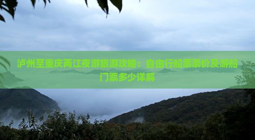 泸州至重庆两江夜游旅游攻略：自由行船票票价及游船门票多少详解