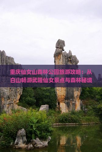 重庆仙女山森林公园旅游攻略：从白山畅游武隆仙女景点与森林秘境