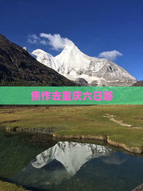 焦作去重庆六日游