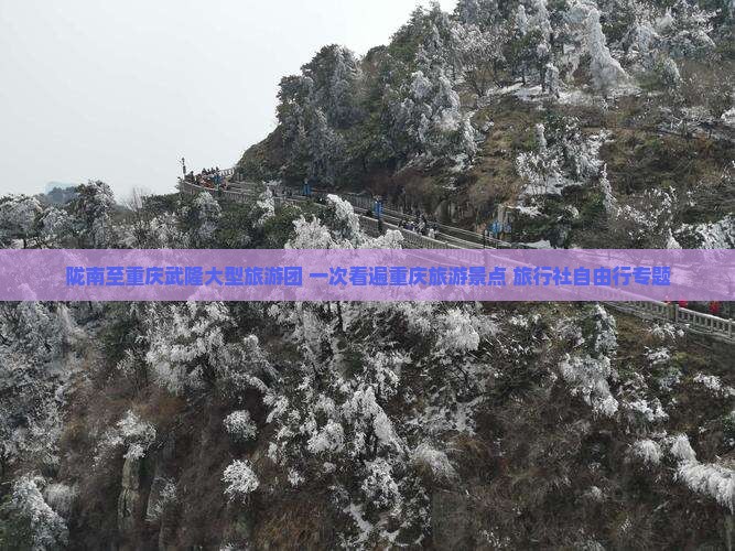 陇南至重庆武隆大型旅游团 一次看遍重庆旅游景点 旅行社自由行专题