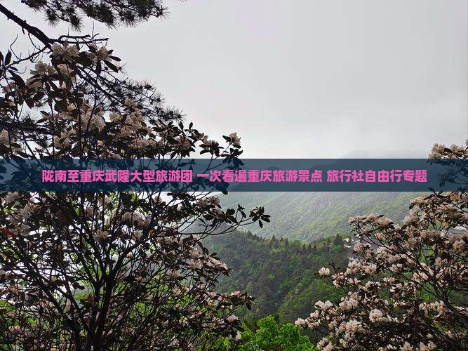 陇南至重庆武隆大型旅游团 一次看遍重庆旅游景点 旅行社自由行专题