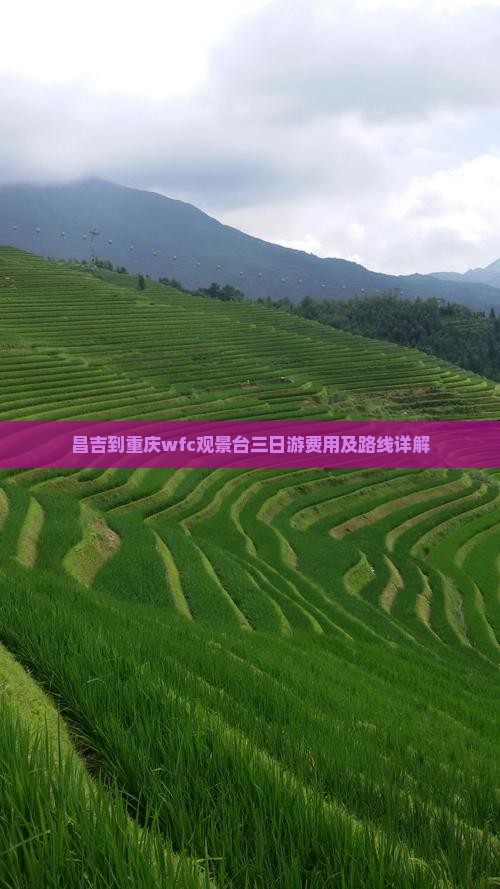 昌吉到重庆wfc观景台三日游费用及路线详解