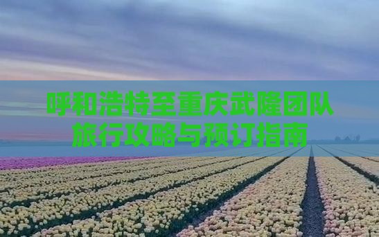 呼和浩特至重庆武隆团队旅行攻略与预订指南