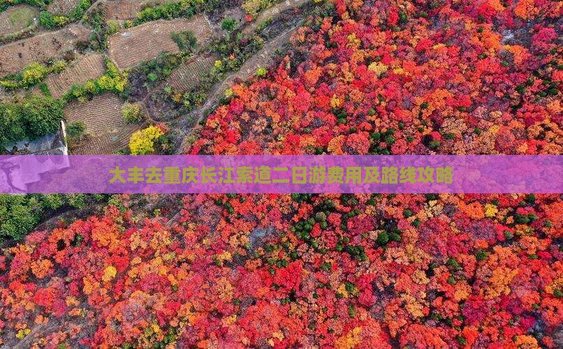 大丰去重庆长江索道二日游费用及路线攻略