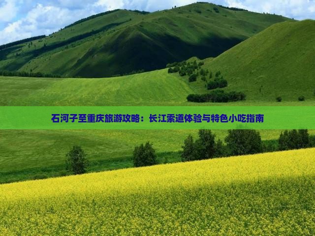 石河子至重庆旅游攻略：长江索道体验与特色小吃指南