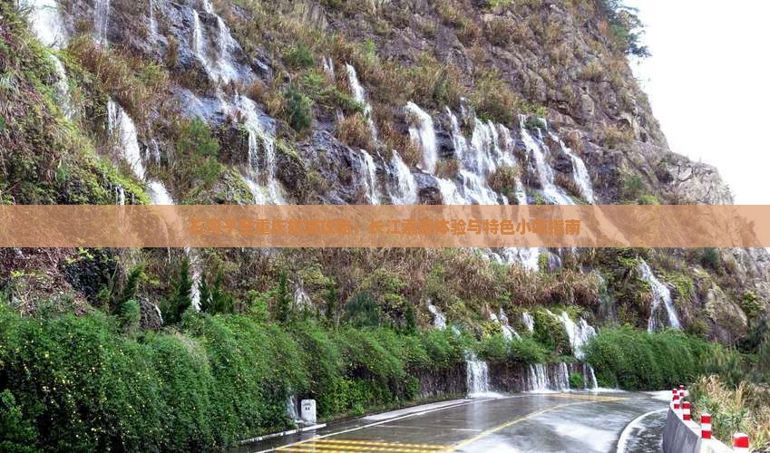 石河子至重庆旅游攻略：长江索道体验与特色小吃指南