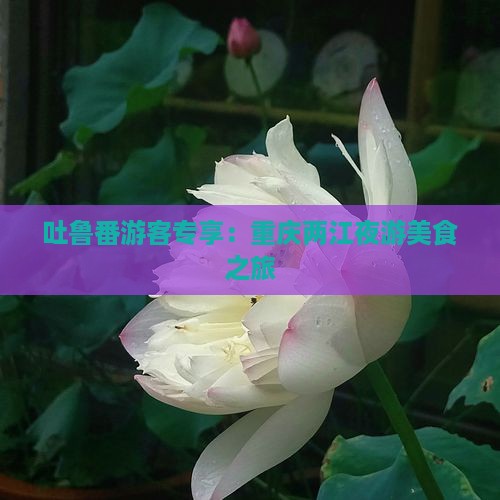 吐鲁番游客专享：重庆两江夜游美食之旅