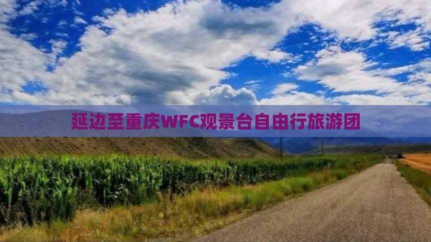 延边至重庆WFC观景台自由行旅游团