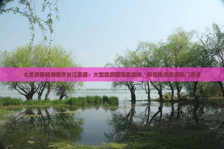 大庆游客畅游重庆长江索道：大型旅游团深度攻略，解锁重庆旅游热门景点