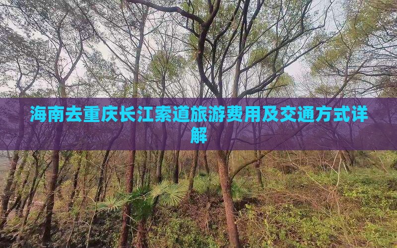 海南去重庆长江索道旅游费用及交通方式详解