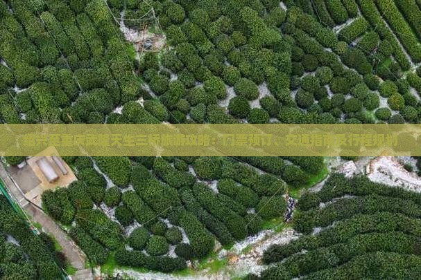 绍兴至重庆武隆天生三桥旅游攻略：门票预订、交通指南及行程规划