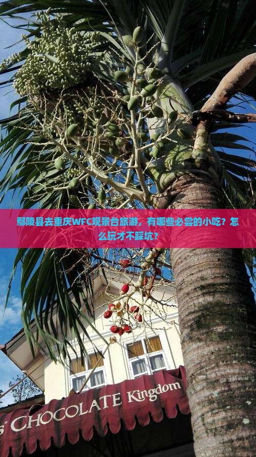 鄢陵县去重庆wfc观景台旅游小吃