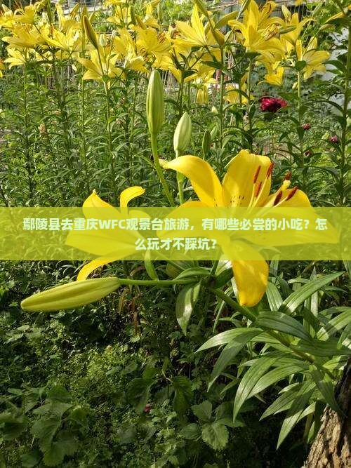 鄢陵县去重庆wfc观景台旅游小吃