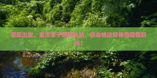 霍邱去重庆李子坝轻轨站旅游