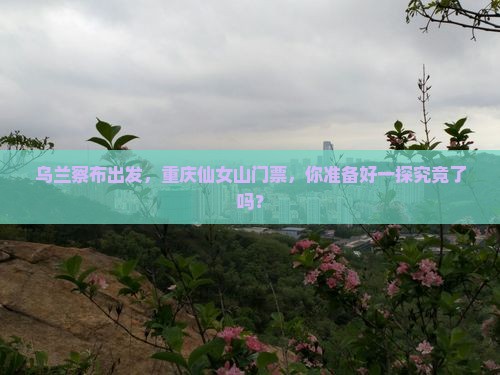 乌兰察布到重庆仙女山门票