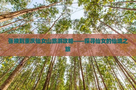 张掖去重庆仙女山攻略
