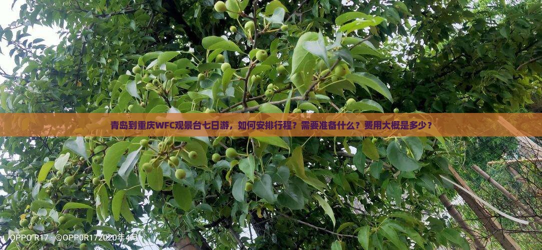 青岛到重庆wfc观景台七日游